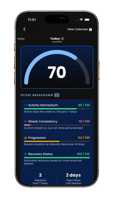 Daily wellness score